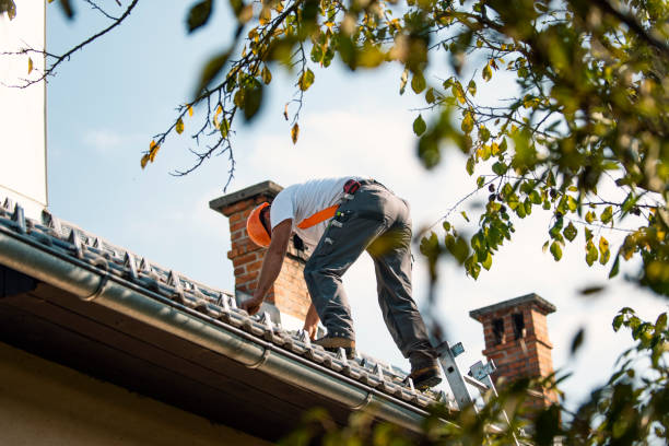 Best Roof Ventilation Installation  in Pacifi, CA
