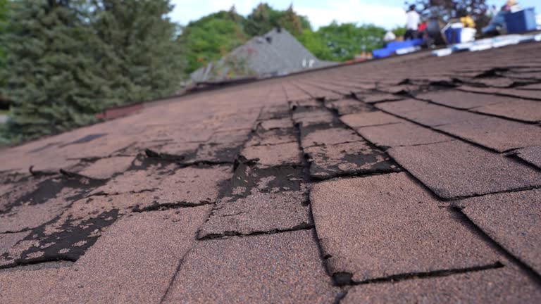 Steel Roofing in Pacifica, CA